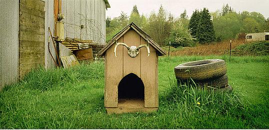 公牛乱入马战《群马乱斗》公开第一赛季DLC角色